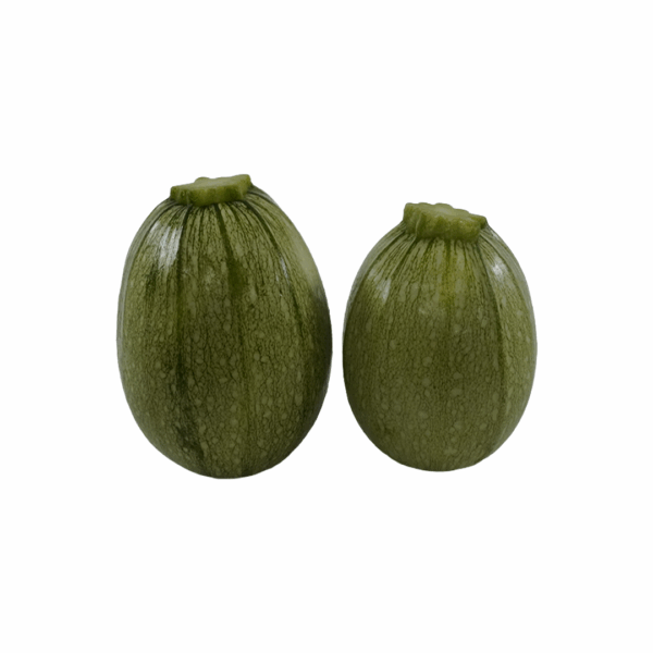 Calabaza Tatuma  x Lb