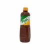Tajin Chamoy Mild Sause/Regular